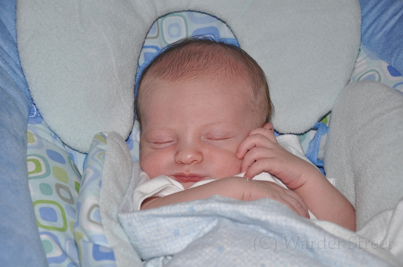 William's Second Week 40.jpg